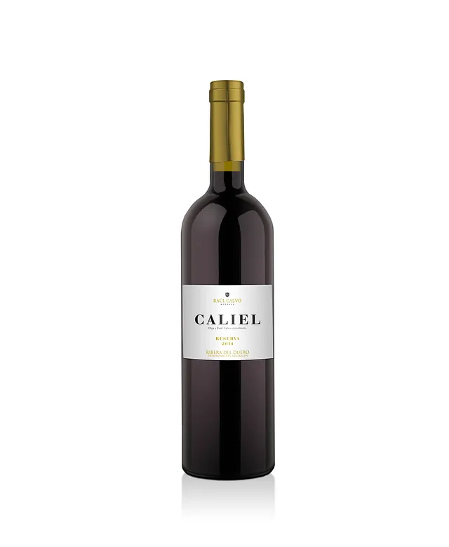 Velbendi raul calvo bodegas